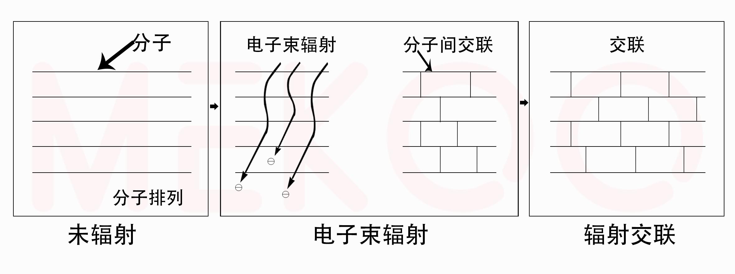 辐照交联图片美高.jpg