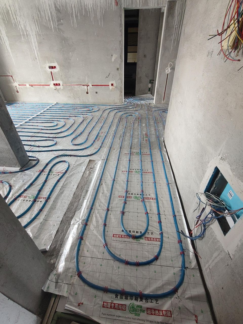 1750647575151300.jpg