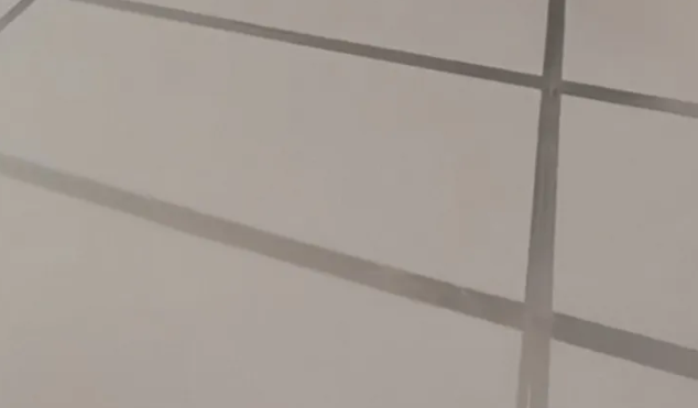 1786500869556755.png image.png